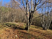 29 Il sent. 505 continua in decisa salita per boschi e per prati vestiti d'autunno